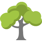 Haverhill Tree Trimming