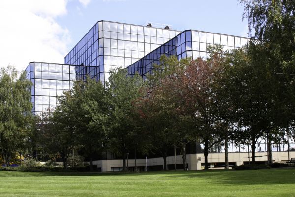 Commercial Tree Trimming in Haverhill